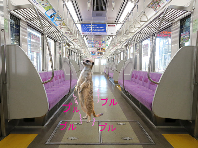 電車やバスの揺れに耐える体幹を強化するエクササイズをご紹介!