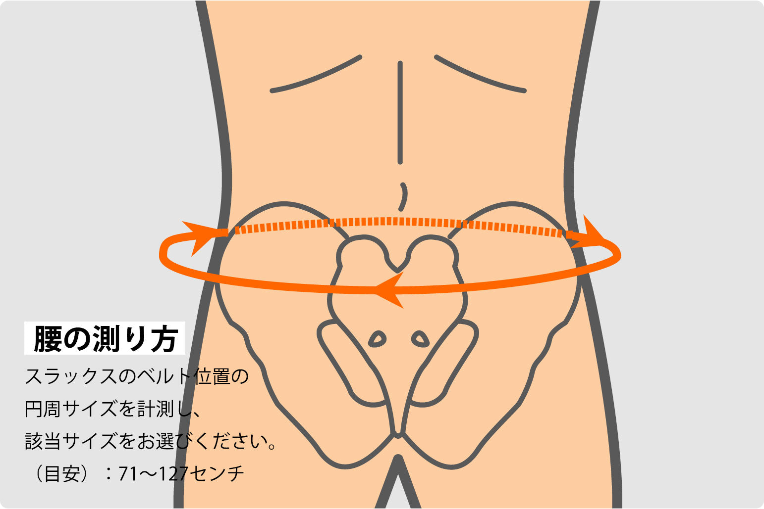アジャスタブル バックブレイス