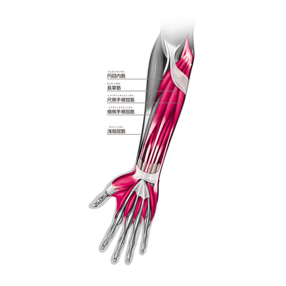 Adjustable Elbow Support