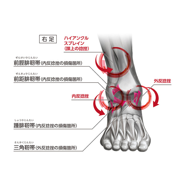 アジャスタブル アンクルサポート JPプラス