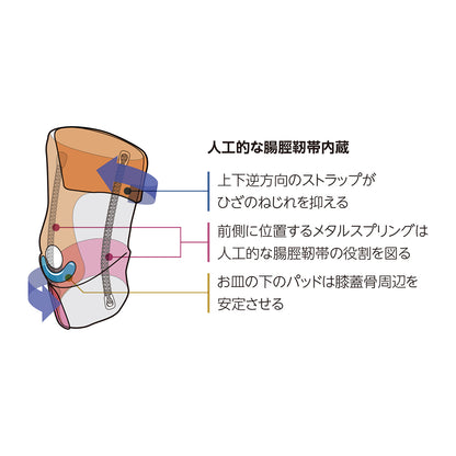 ラップアラウンド ニースタビライザー
